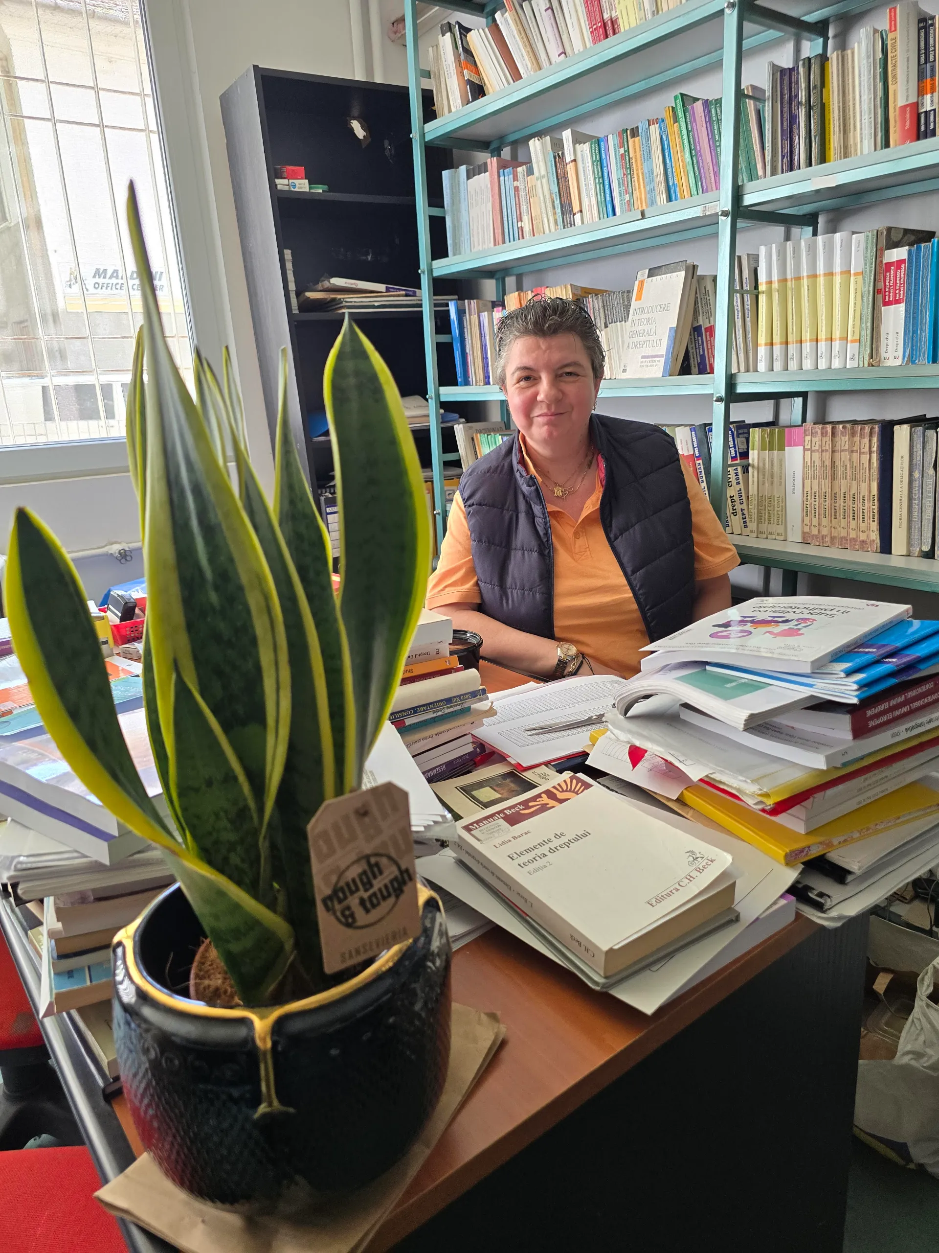 biblioteca
